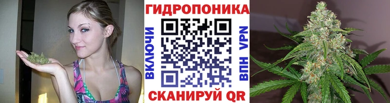 Сколько стоит Ветлуга Гашиш  МАРИХУАНА  Меф 