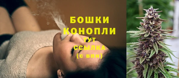 ГАЛЛЮЦИНОГЕННЫЕ ГРИБЫ Белоозёрский