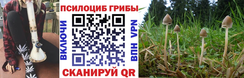 где найти   это телеграм  Галлюциногенные грибы ЛСД  Ветлуга 